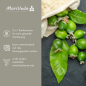 Preview: Triphala tablets